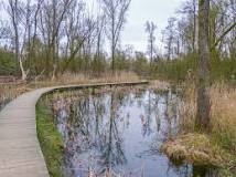 191ste eerstevrijdagwandeling