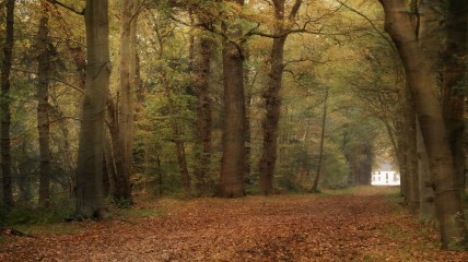 189 ste eerstevrijdagwandeling