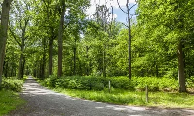 185 ste eerstevrijdagwandeling