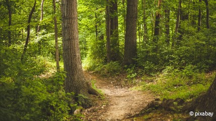 205de eerstevrijdagwandeling
