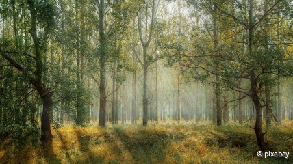 192ste eerstevrijdagwandeling