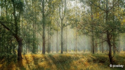 192ste eerstevrijdagwandeling