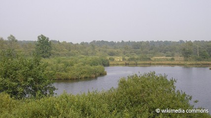 223 ste eerstevrijdagwandeling