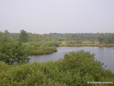 Oud-Turnhout-DeLiereman.JPG