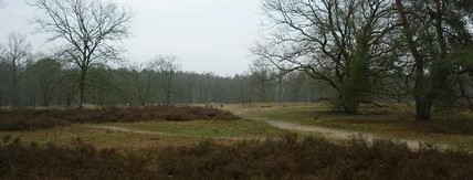 217 de eerstevrijdagwandeling